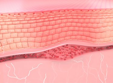 our-company_act-on-causes-and-consequences-of-skin-imbalances our-company_act-on-causes-and-consequences-of-skin-imbalances